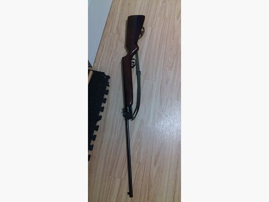 Carabine à air comprimé pliable