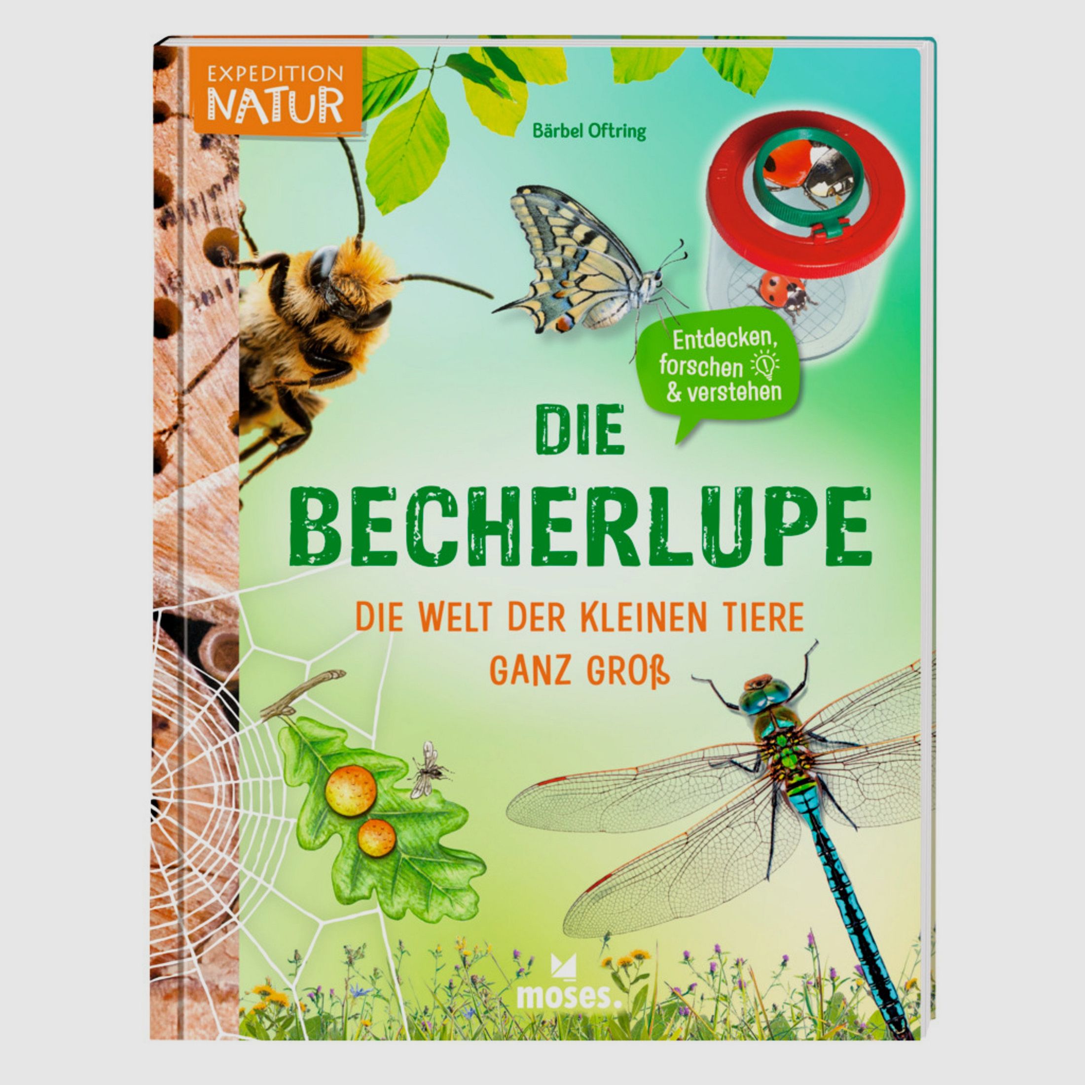Die Becherlupe Die Welt der kleinen Tiere ganz gro