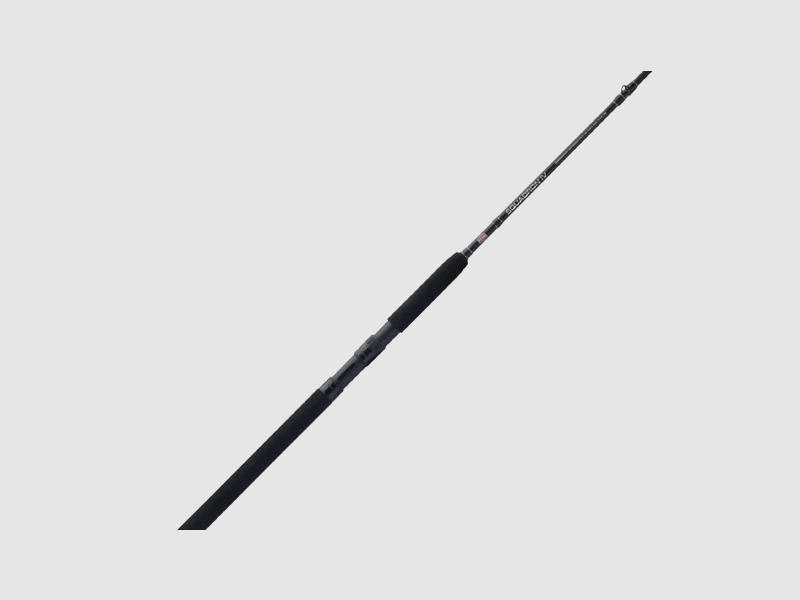 Penn Squadron IV Inshore Spin 9″ 20-60G 2-piece, image 1 of 4