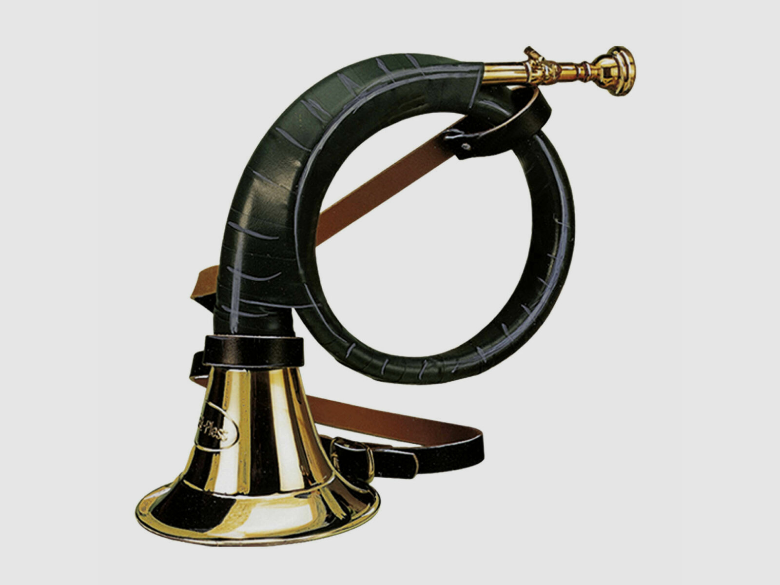 Frst-Pless-Horn B