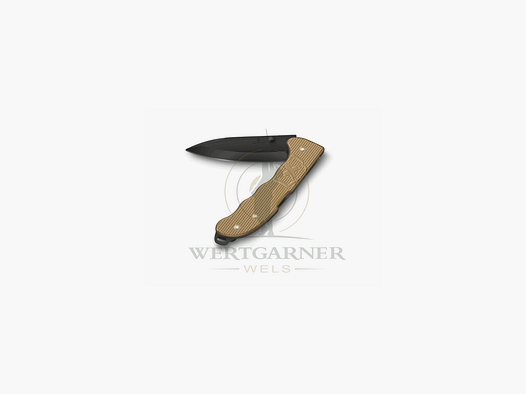 Victorinox Evoke BS Alox beige