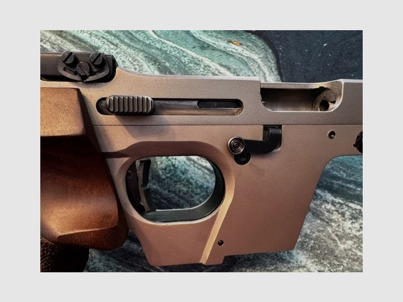 Walther GSP .22 l.r. met barrel weight