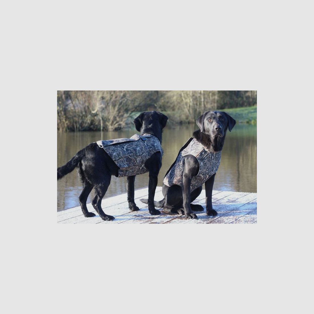 Sporting saints Gilet per cane in neoprene Camo, immagine 4 di 4