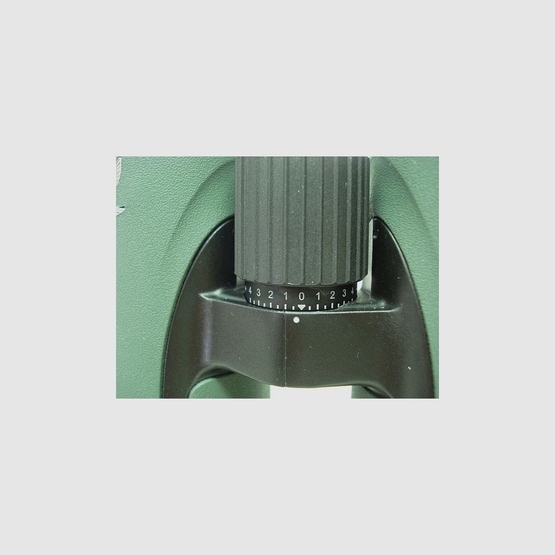 THE 10x50 W B green -