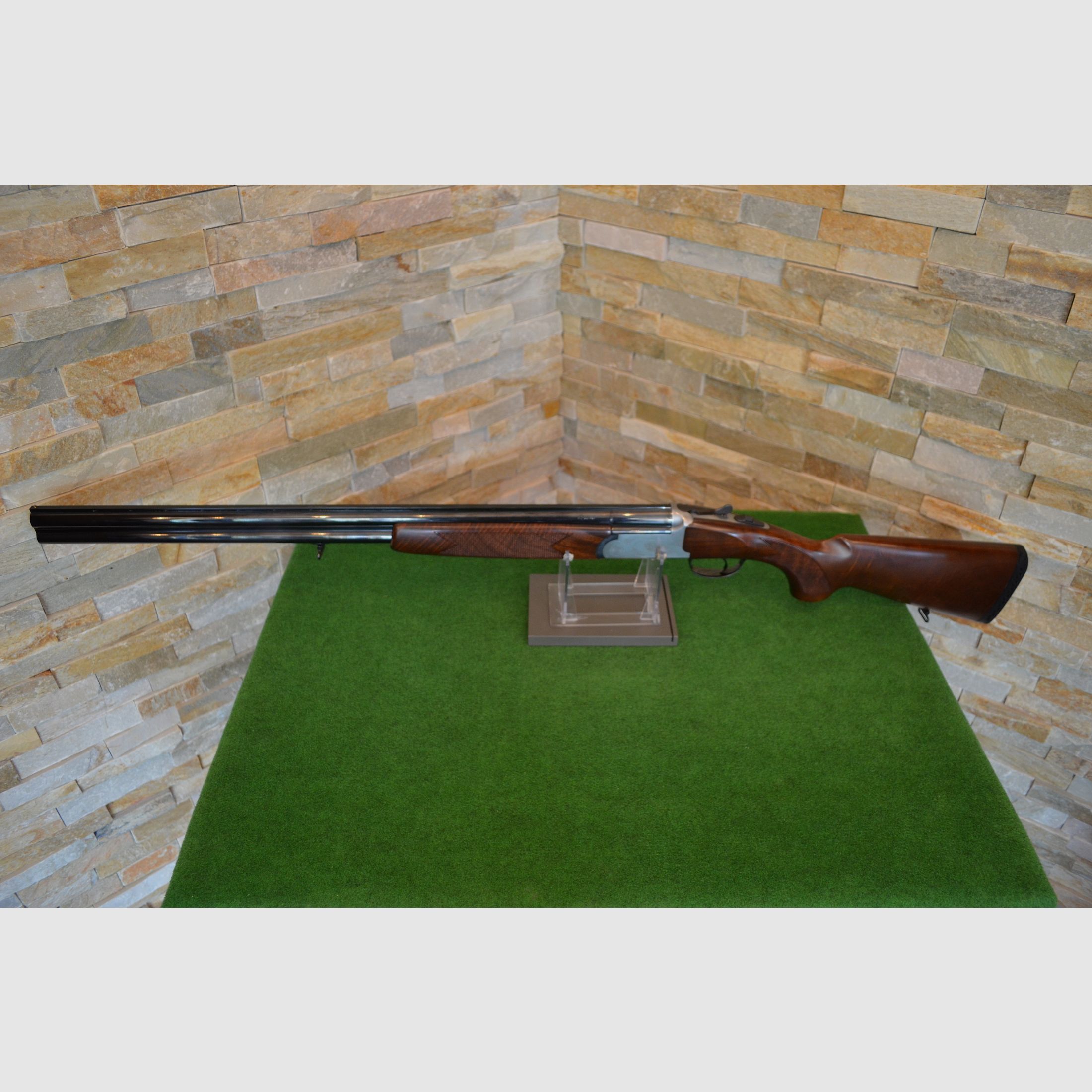 Rottweil 580 Jagd