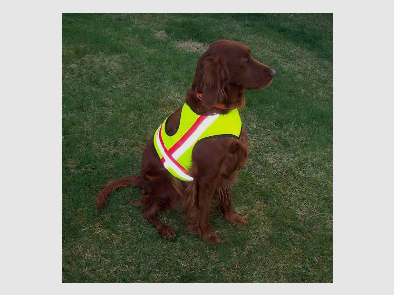 ZanTex gilet de signalisation pour chien avec fermeture Velcro double 2