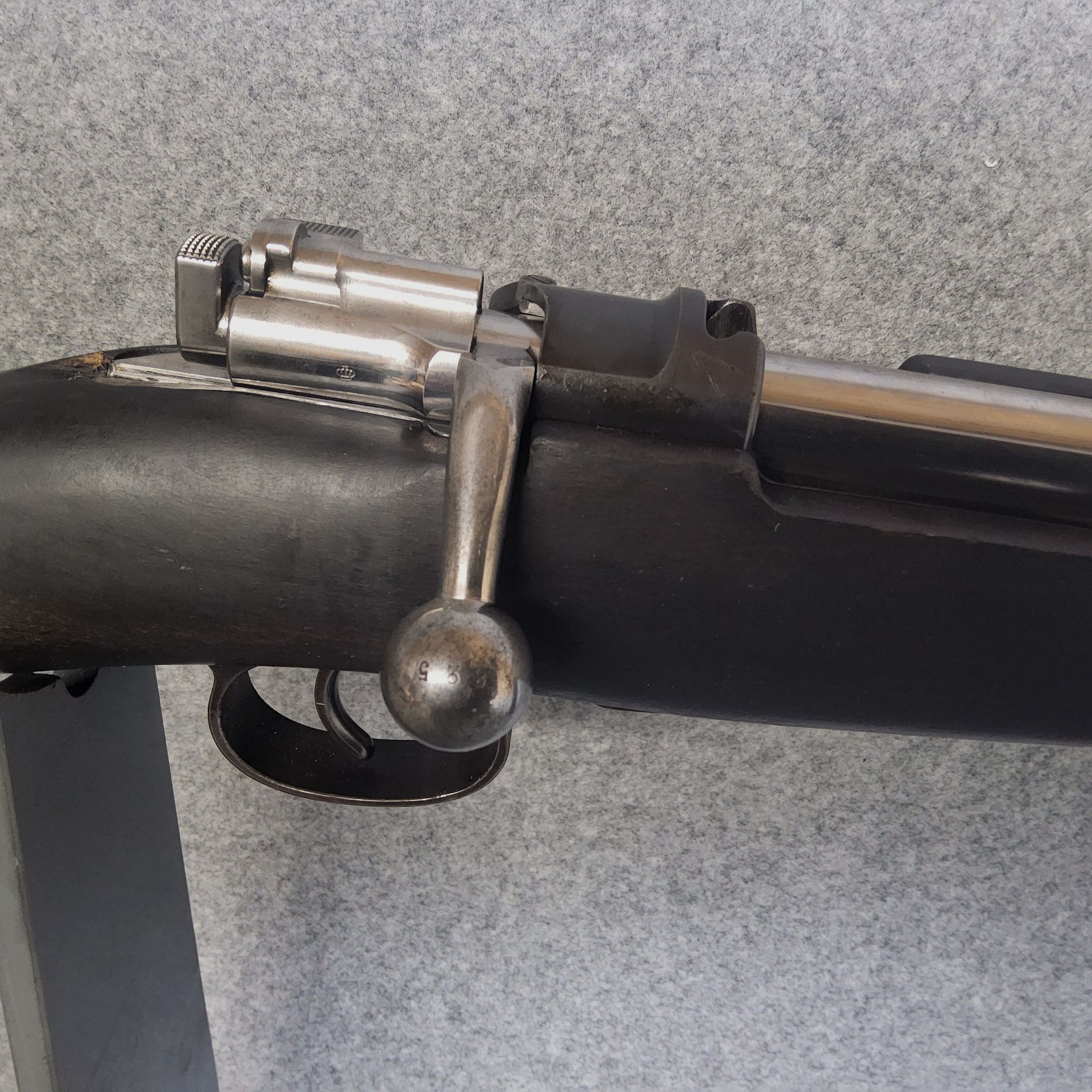 Carl Gustav M96