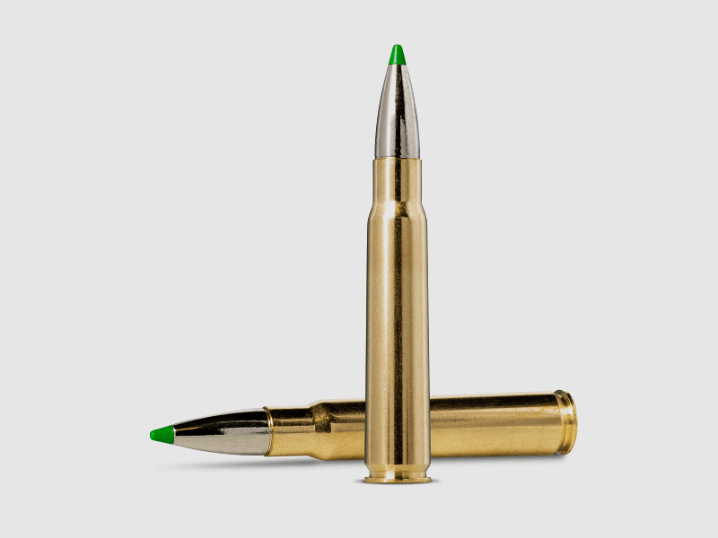 Norma .308 WIN ECOSTRIKE 9,7 g 150 gr - 20 Stk
