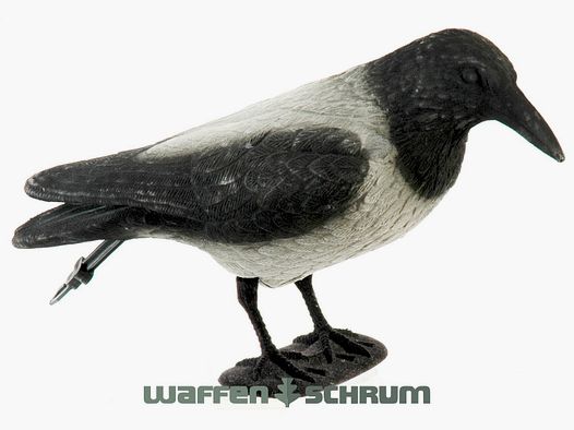 Vollkörper-Lockkrähe beflockt Nebelkrähe