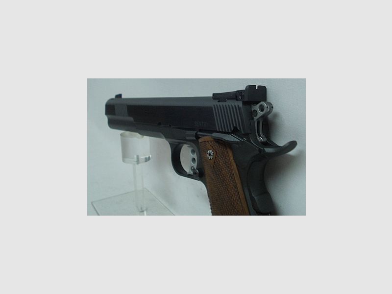 Sentry 6.0 - 9mmLuger