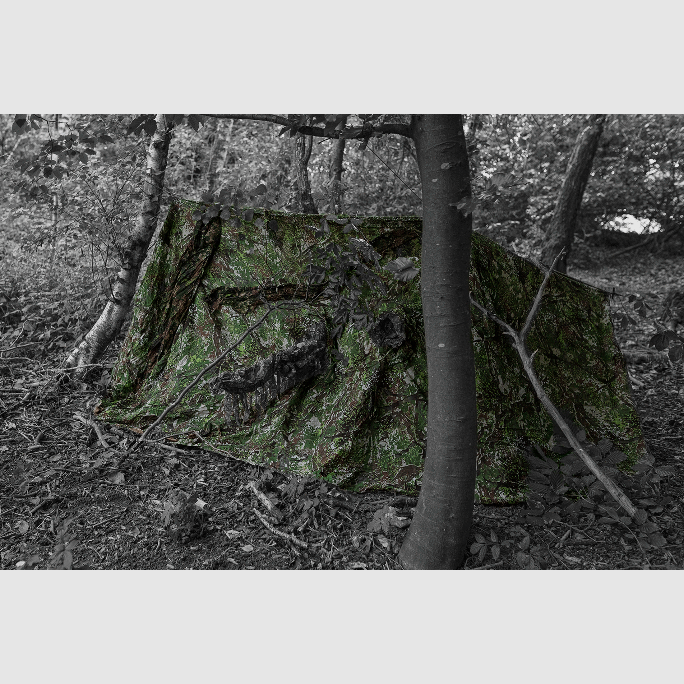 Ghosthood Recce-Net, immagine 1 di 9