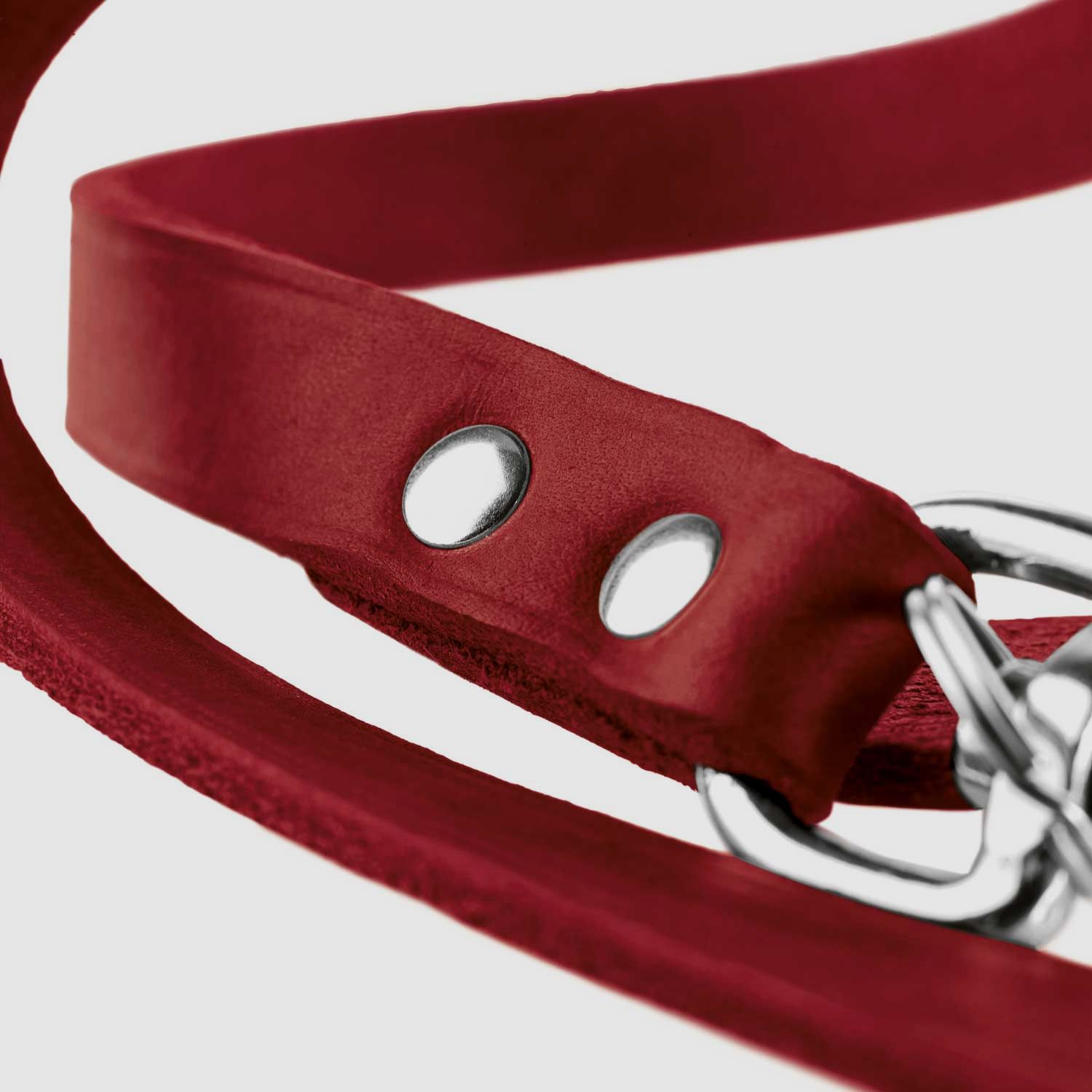 Hunter adjustable dog leash leather