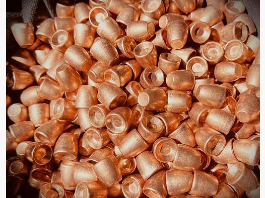 60x Slugs Cal. .50 / .495 –AEA Megalodon, Challenger,Luftdruck-, CO2-, PCP-Sport