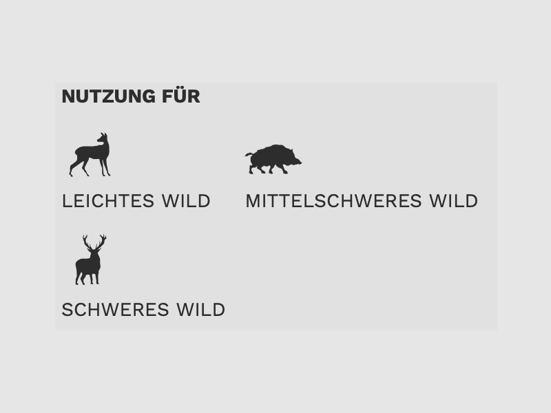 Geco Star 2413836 .300 Win. Mag. 10,7g 165grs. Bleifrei Deformationsgeschoss