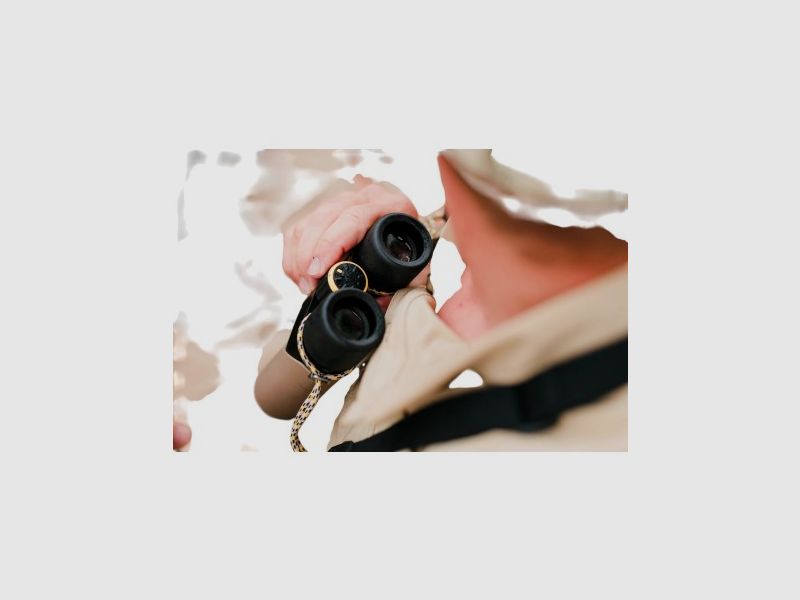 Swarovski Optik CL Companion 8x30 braun Safari, Bild 13 von 17
