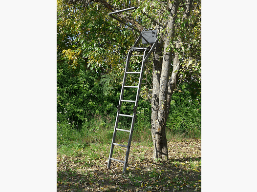 Asiento elevado plegable