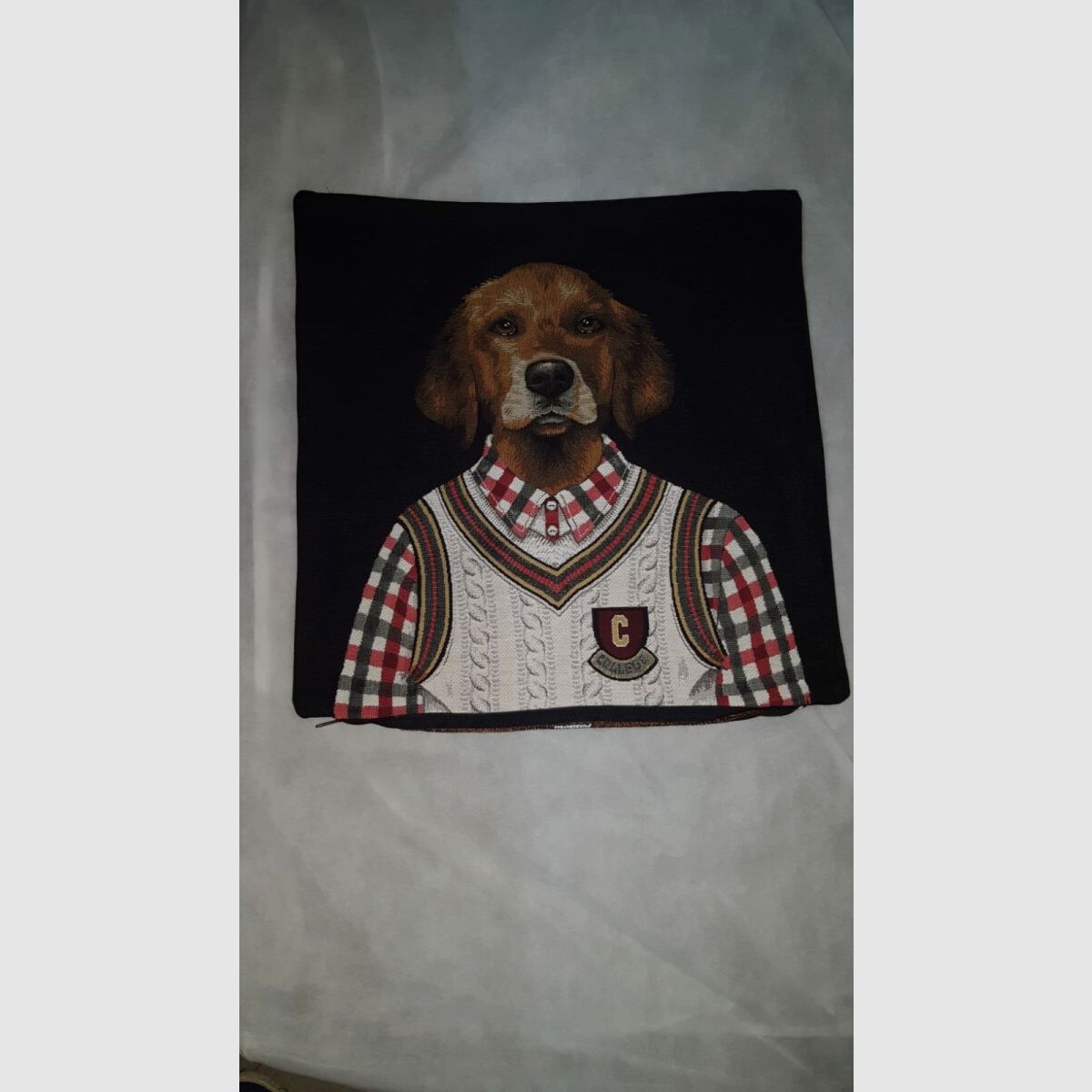 Lovergreen Kissen Motiv Kissen Griffon College