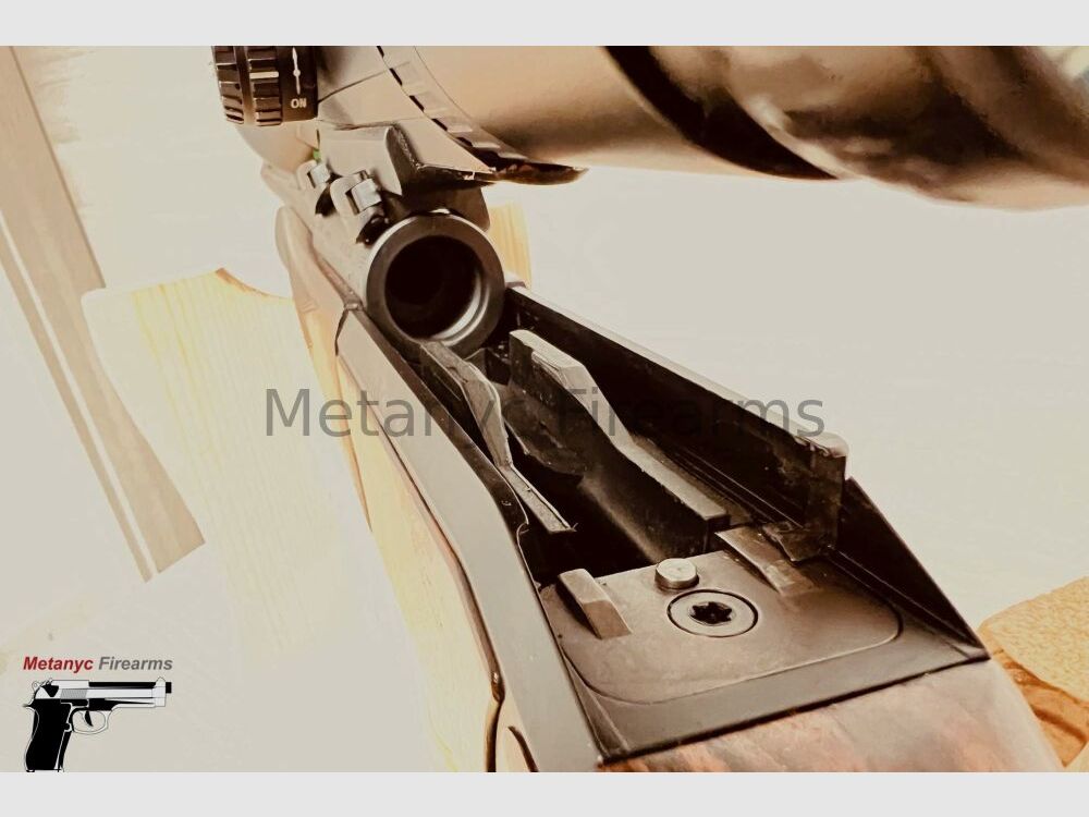 Blaser R 93 .30-06Spring