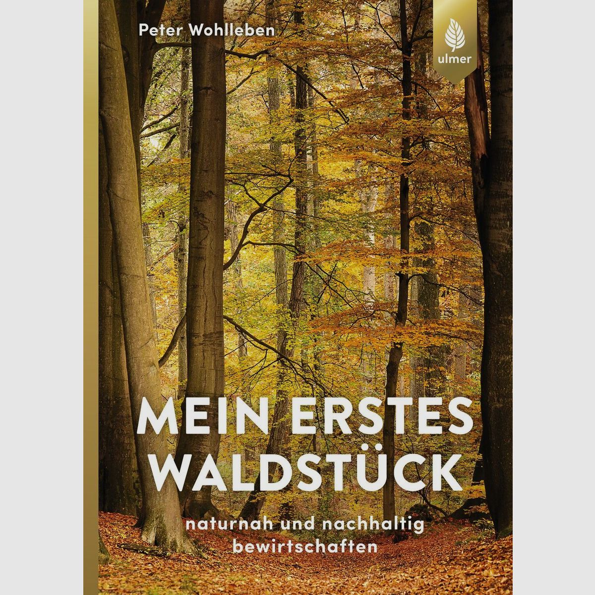 Mein erstes Waldstück