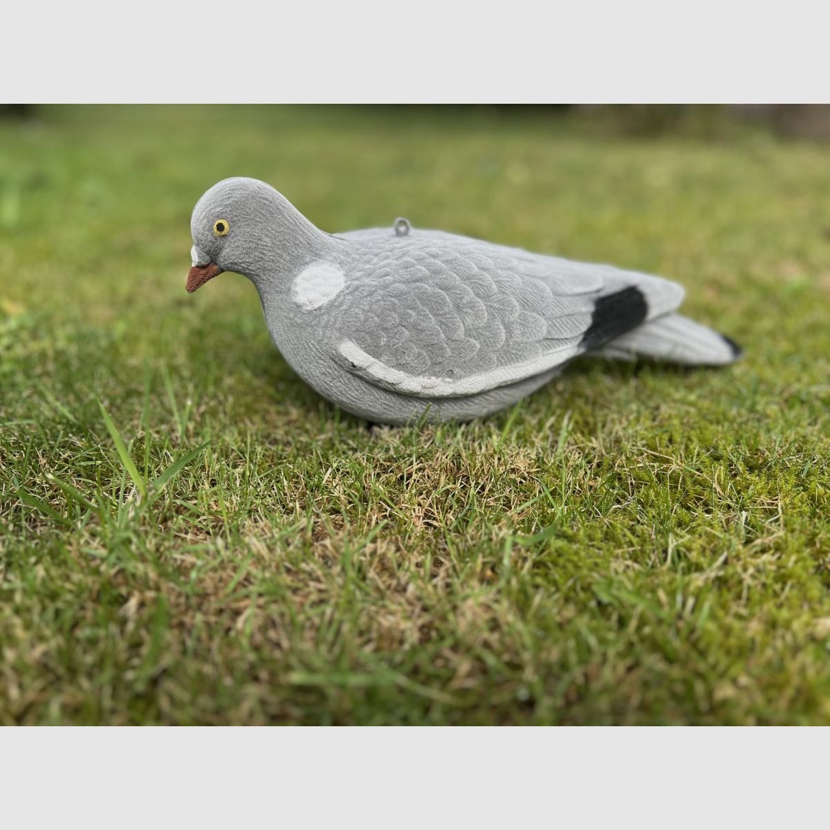 LOCKTAUBE Full Body CLASSIC flocked