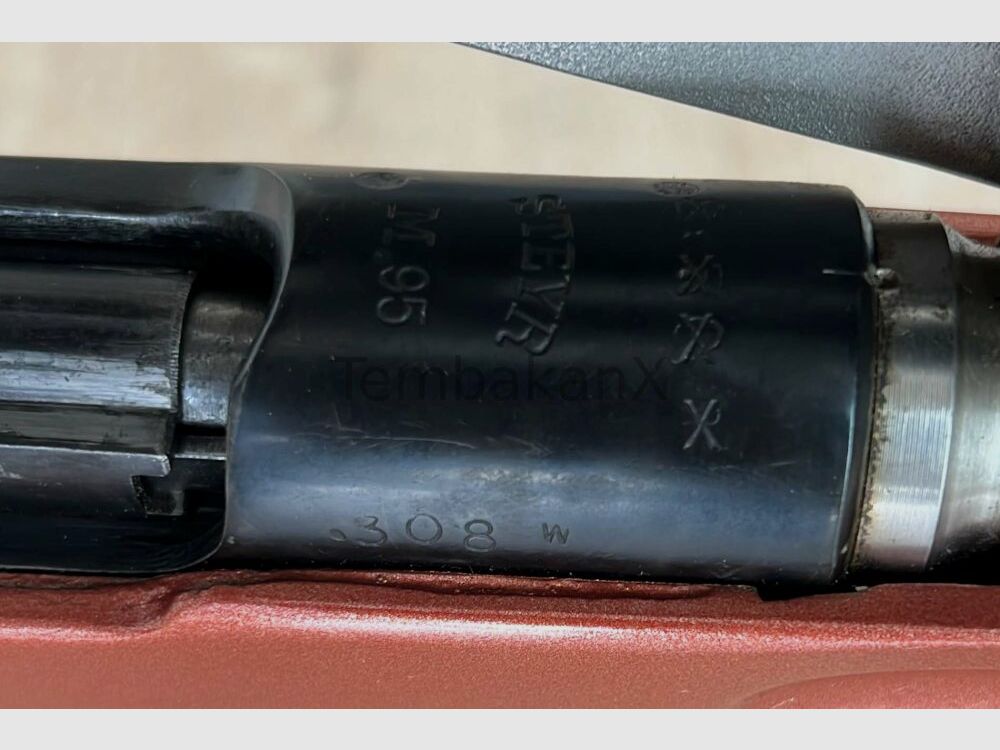 Styria Arms M95 Modifiziert/Umbau .308Win