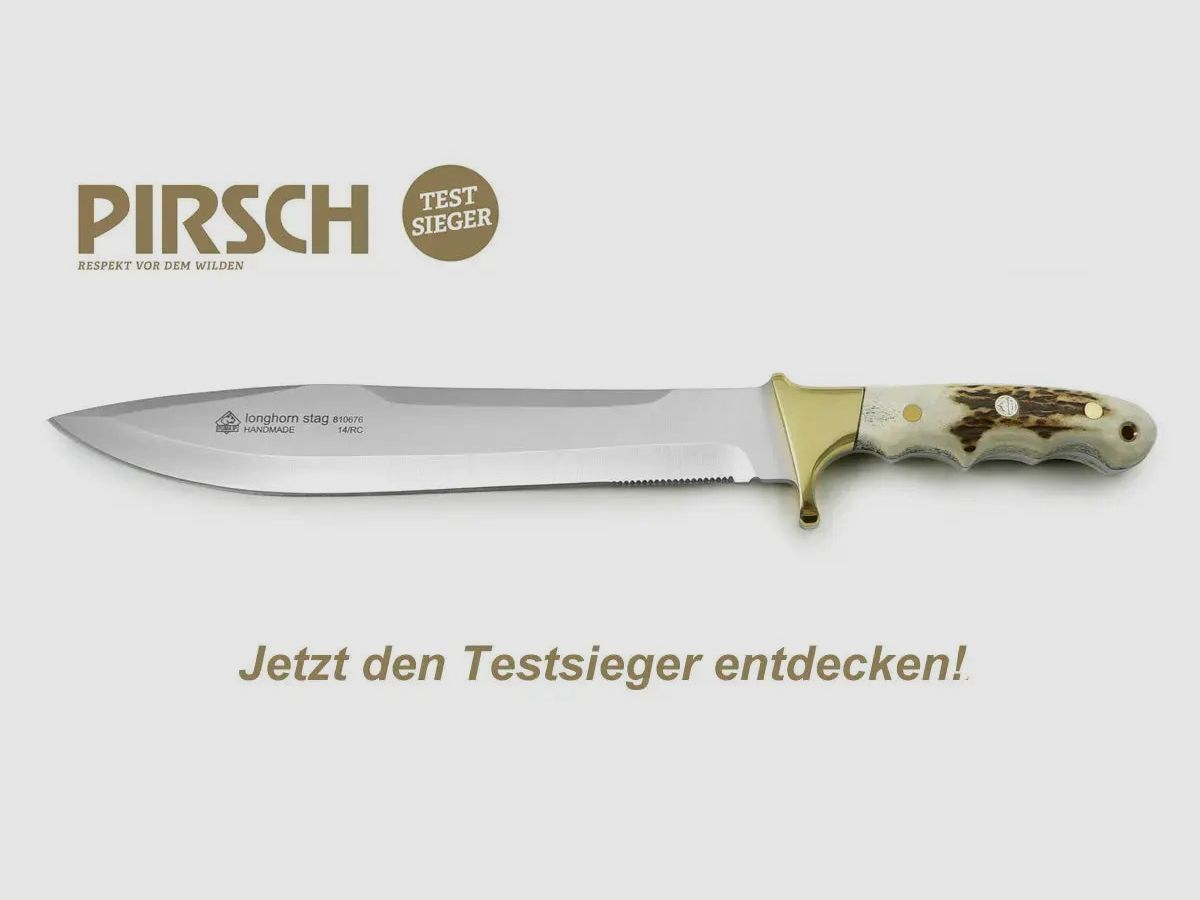 PUMA IP longhorn, cervo