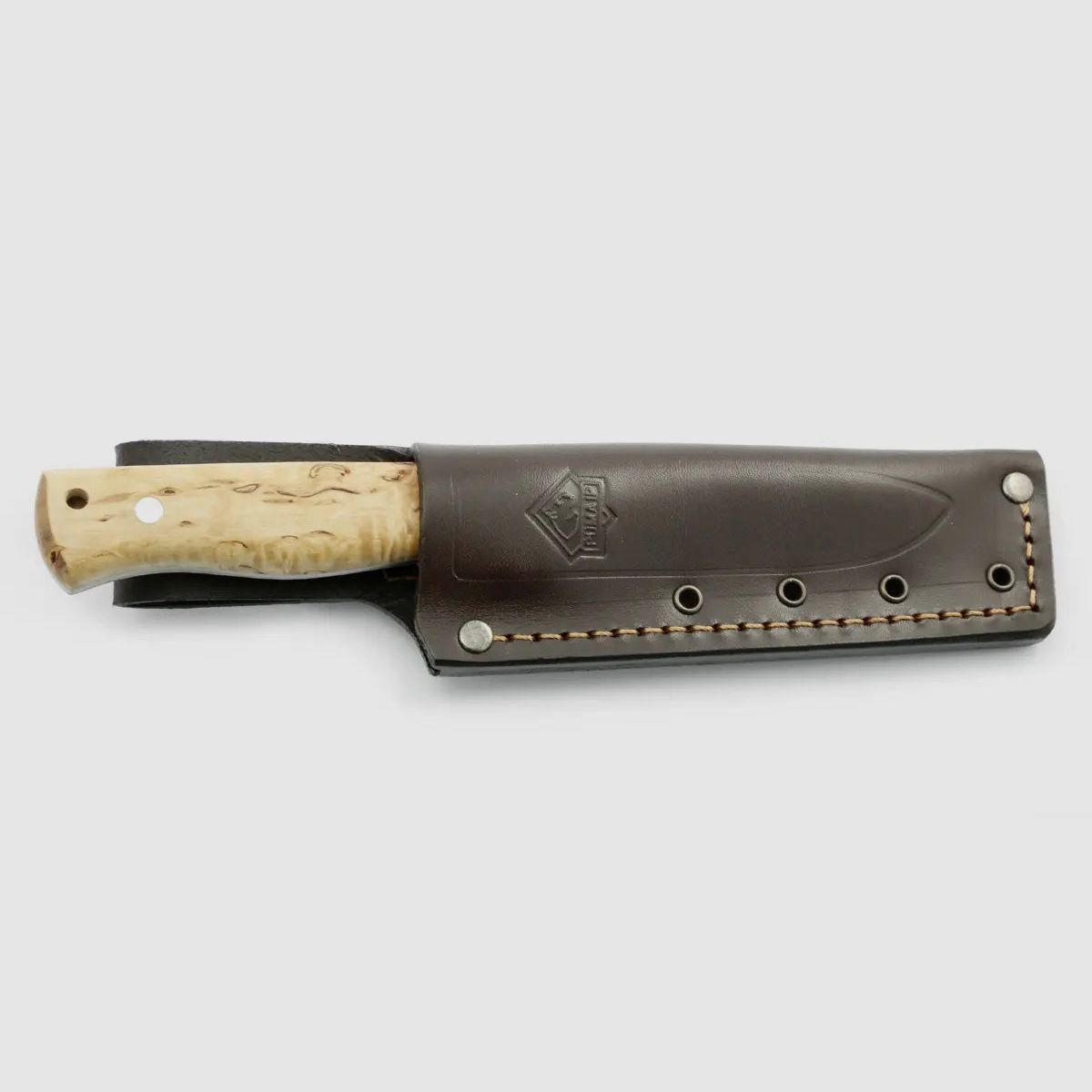 PUMA IP beaver