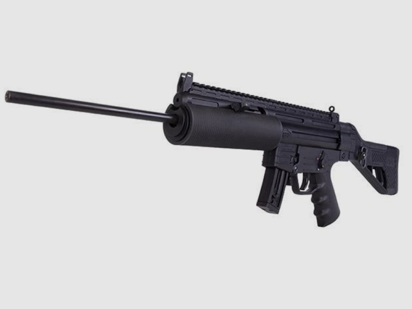 GSG GSG-16 Sport carabina semiautomatica .22lr 10 colpi (decisione BKA), immagine 1 di 4