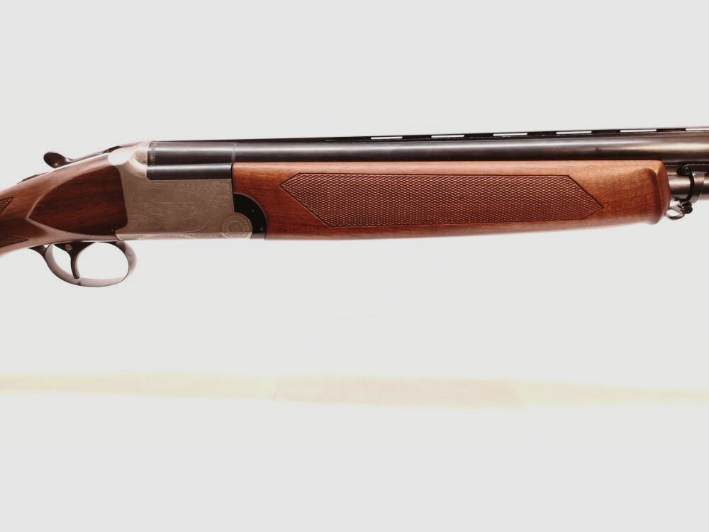 Franchi Alcione (AL)