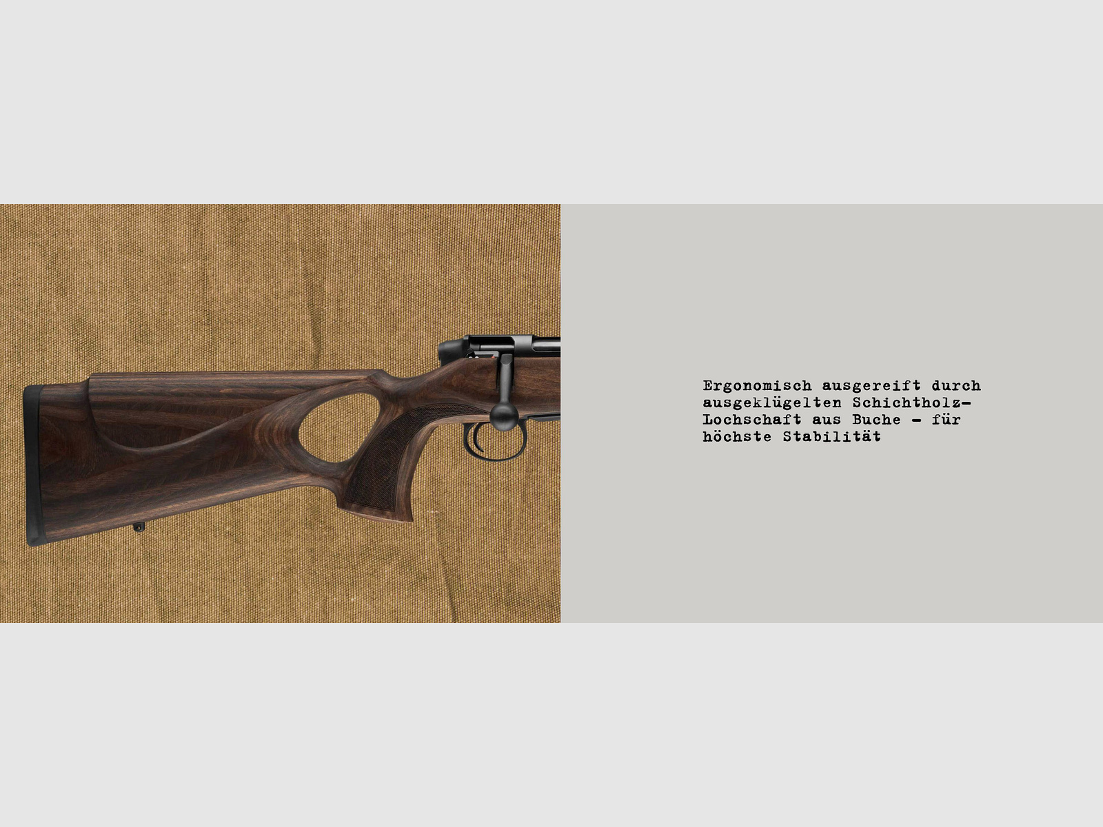 Carabine à répétition Mauser M18 Pure crosse en bois stratifié M15x1 filetage de bouche .308Win /51erLL