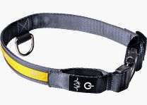 Halsband LED Orange Orange S