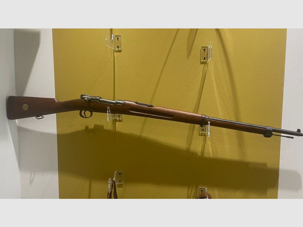 Carl Gustafs M 96