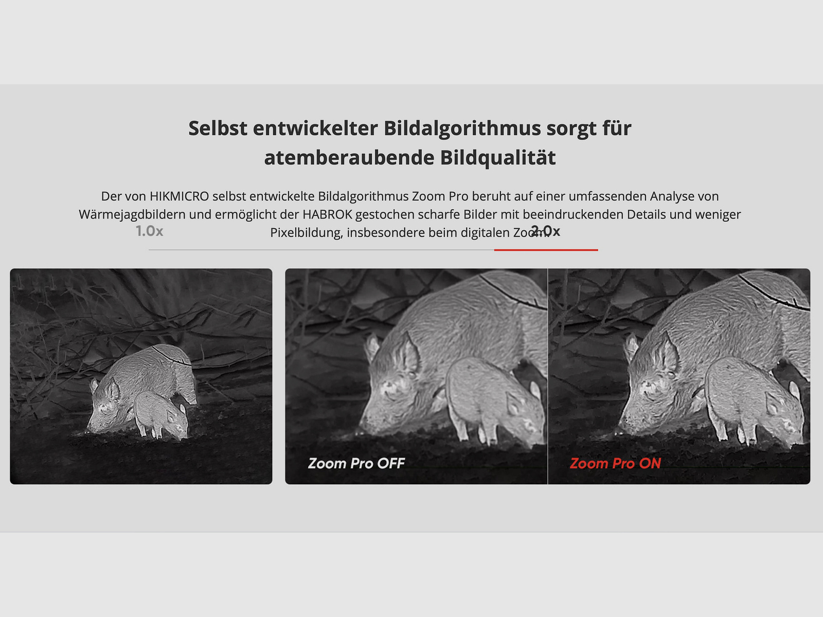 Hikmicro Binocular Habrok HQ35L imagen térmica/visión nocturna/cámara digital 850Nm 2560 x 1440