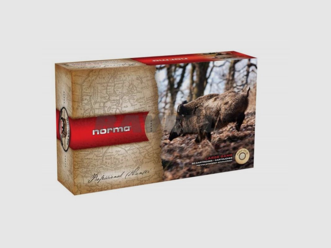 Norma 308 win PPDC 180 Gr, immagine 2 di 2