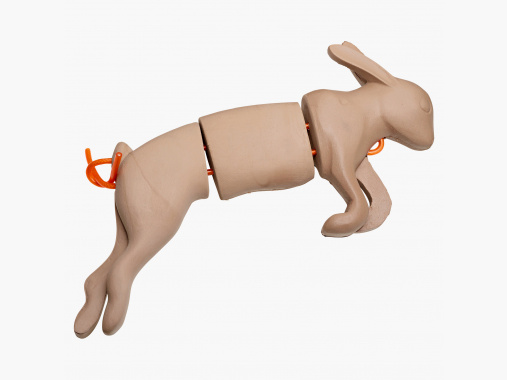 Akah Apportier Kanin |