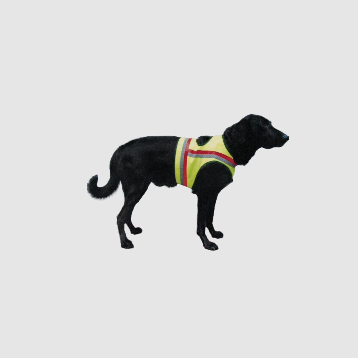 Hundewarnweste ohne Tasche