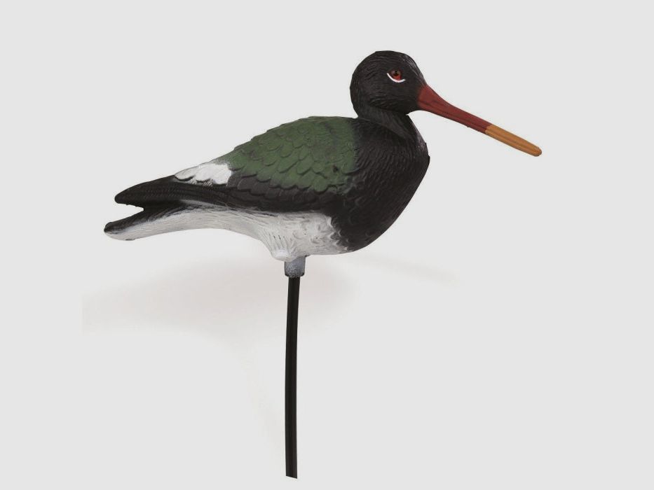 Zeebird Caller Stepland Par 1