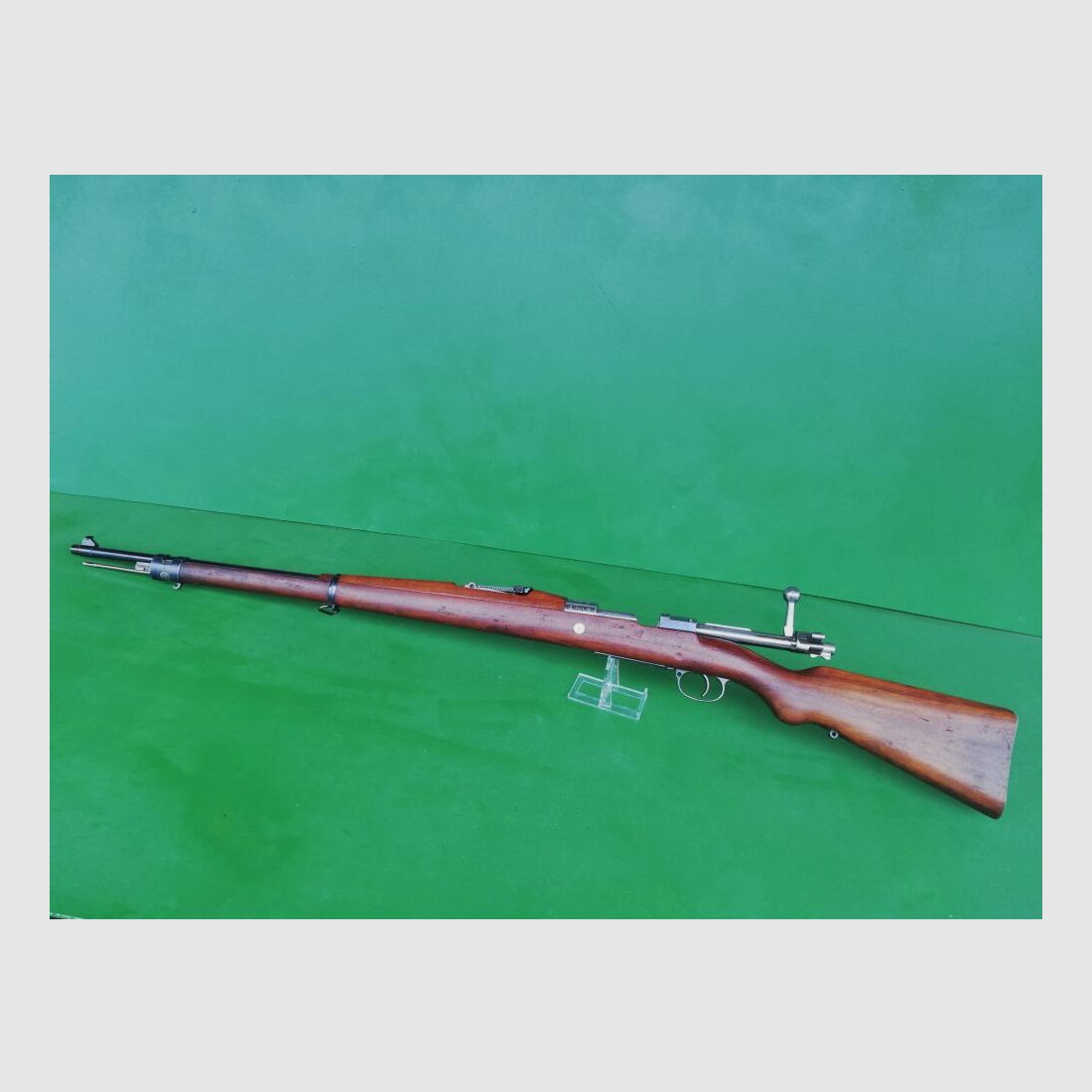 Brasilienmauser 1908