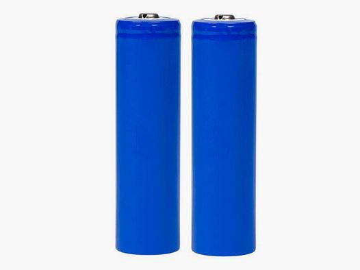 Batteries télécommande Canicom GPS / GPS 2 / GPS Mini (pack de 2) Batterie télécommande