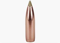 Nosler E-Tip Proiettile 8mm/.323 180GR Spitzer 50 Pezzi