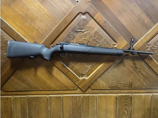 STEEL ACTION HS .308Win