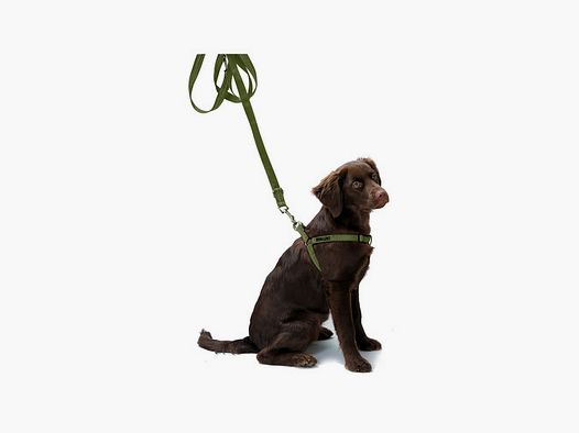 Bandoulière pour chien vert olive