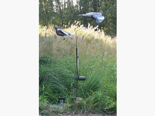 5etta Taubenkarussell