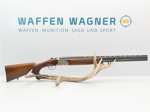 <Bettinsoli Cambione