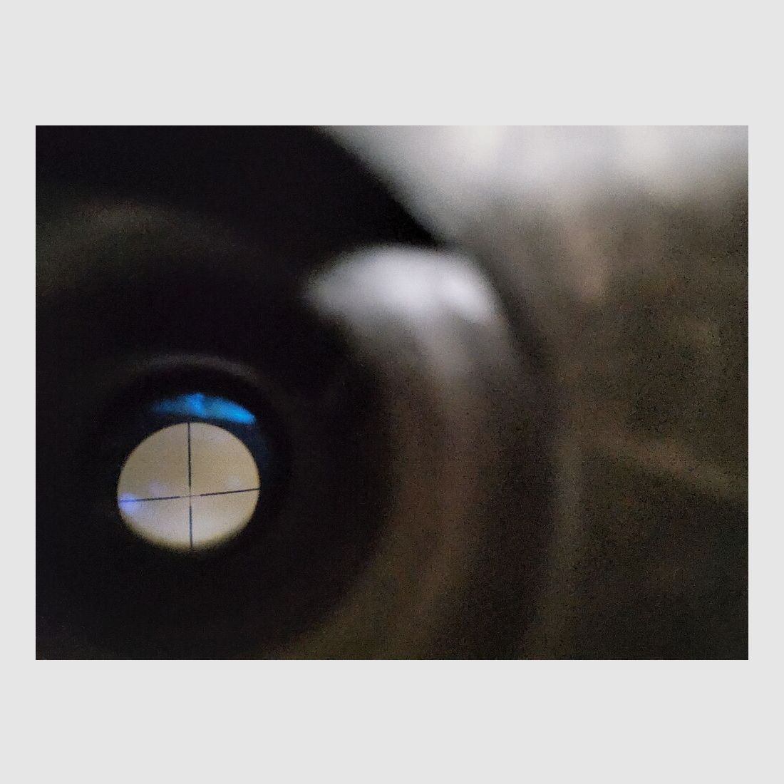 Norinco TU 33/40 avec lunette