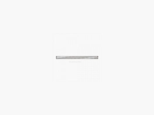 AR15 BUFFER SPRING CARBINE