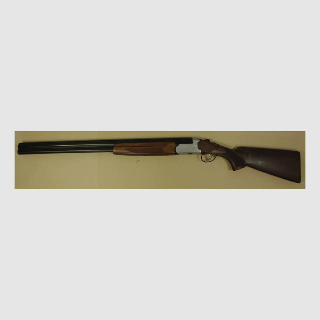 Forest Favorite	 Jagd