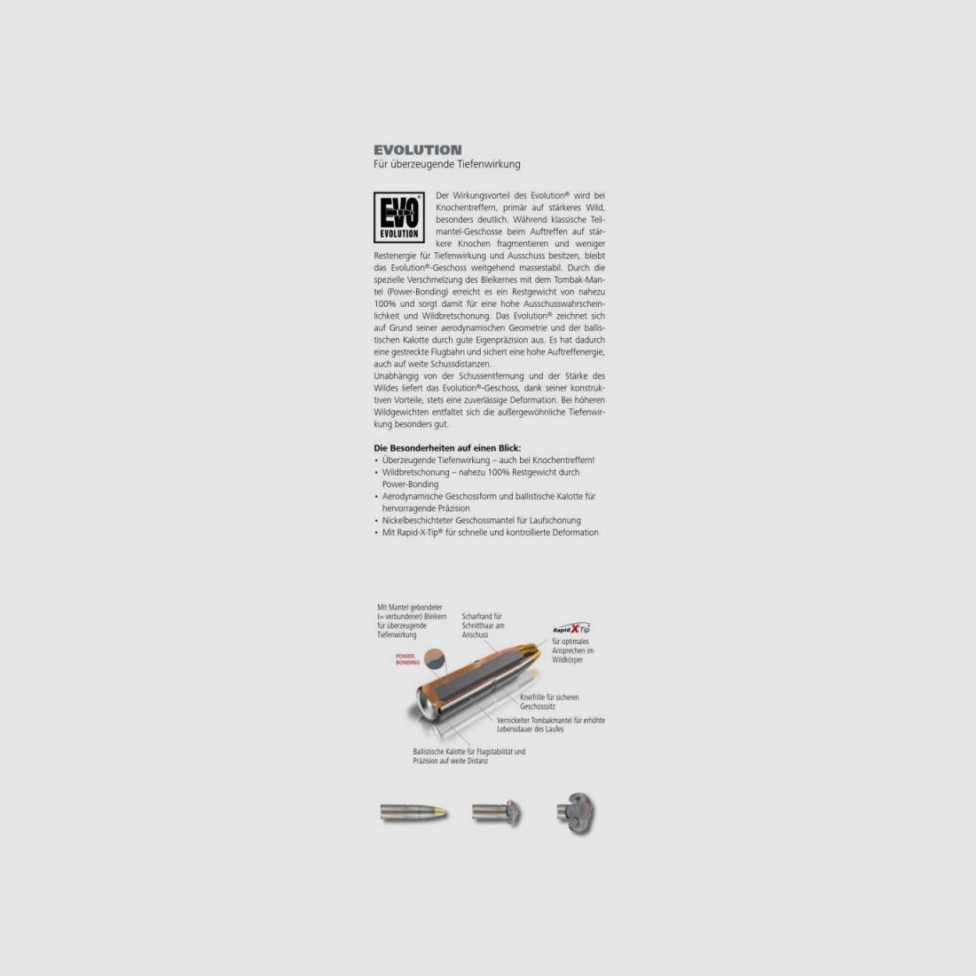 RWS .270 Win Evolution 10.0 g, Bild 3 von 3