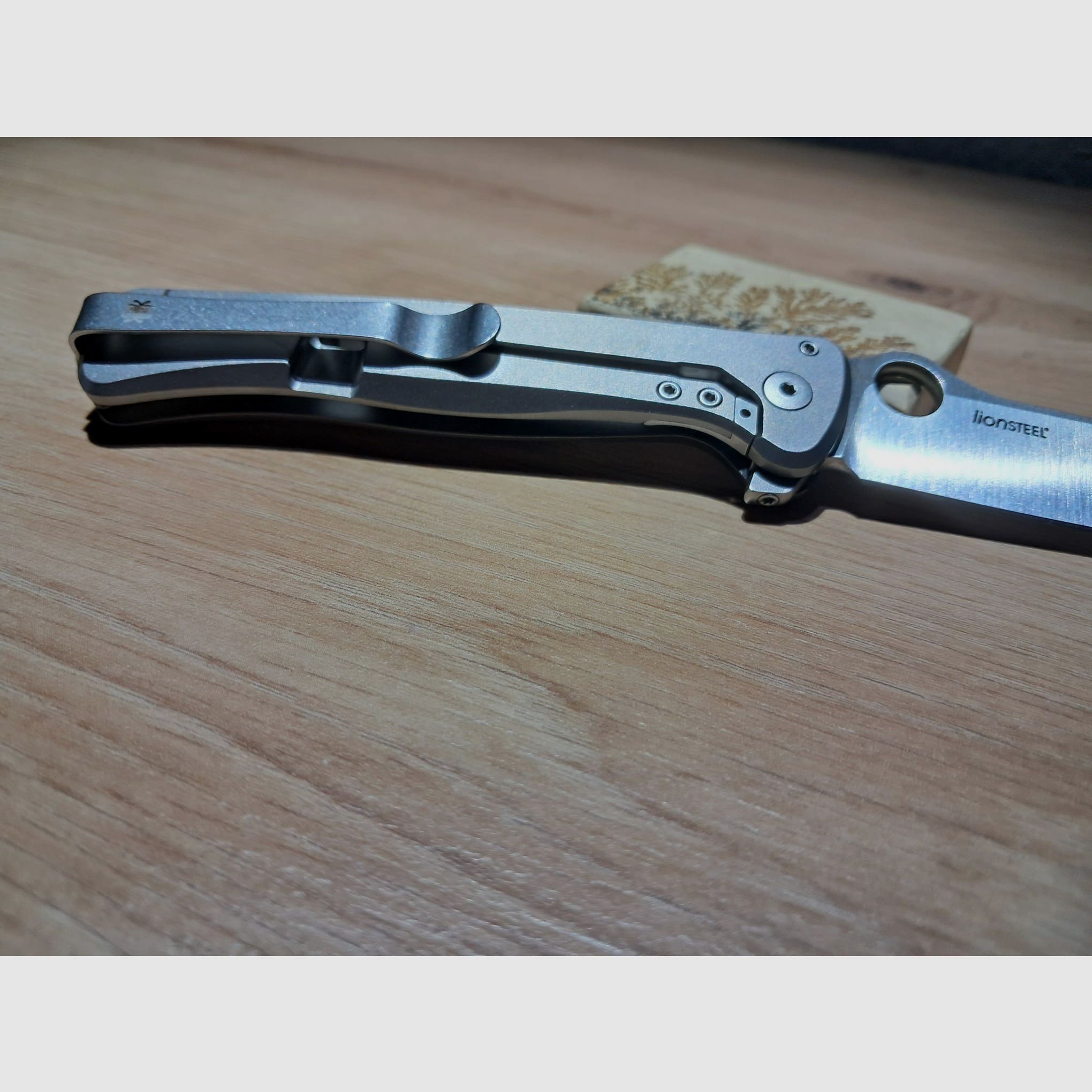 Spyderco Slym Titan. Lionsteel. Messer. Taschenmesser