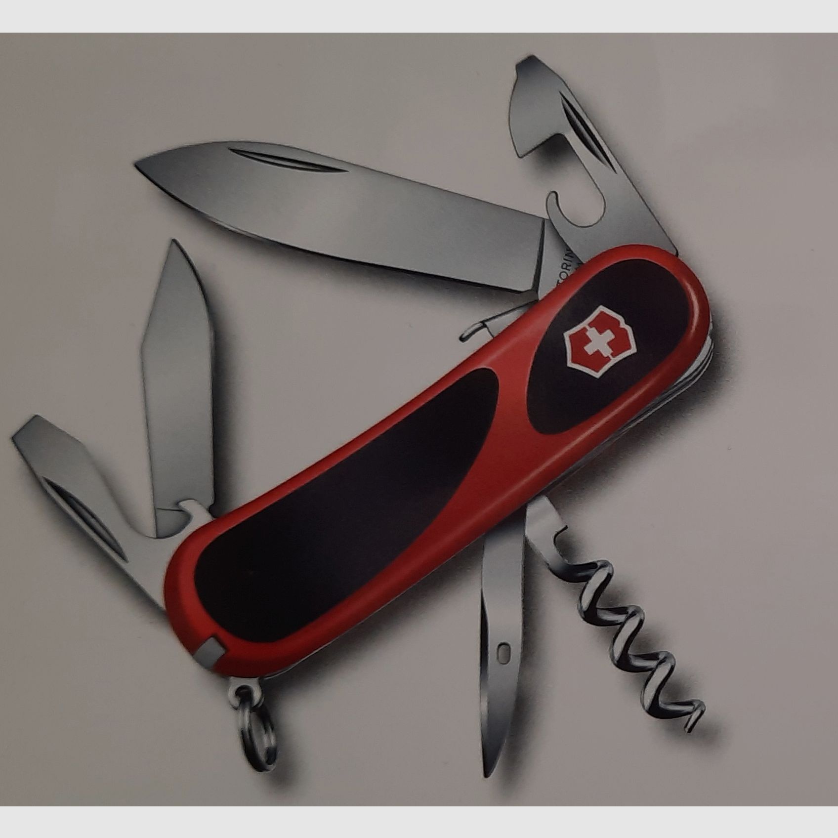 Victorinox Evolution S101  Klappmesser